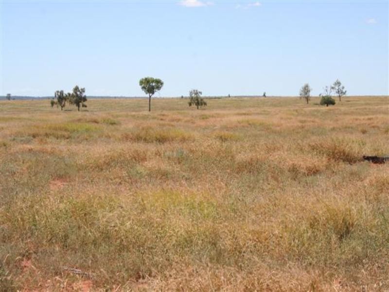 0 Budgeri Road, Mitchell QLD 4465