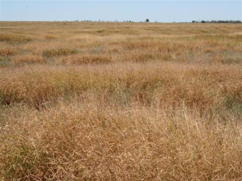 0 Budgeri Road, Mitchell QLD 4465