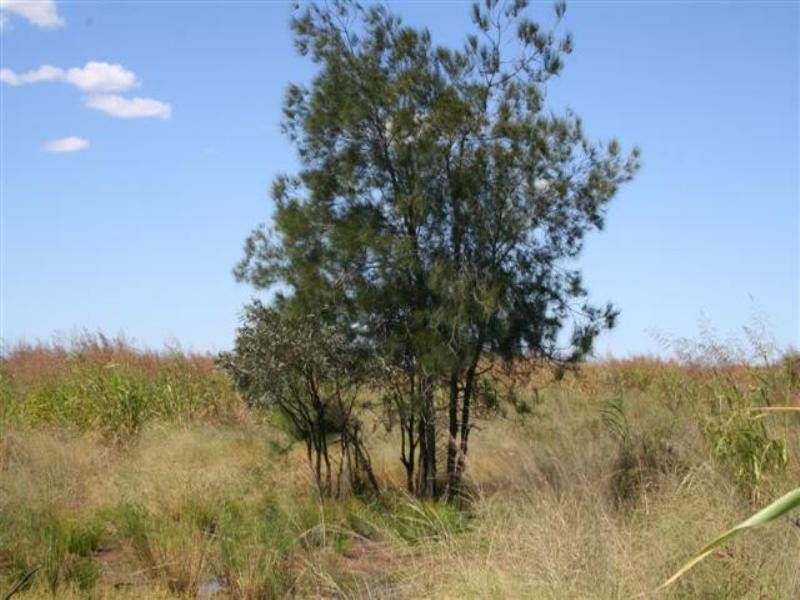 0 Budgeri Road, Mitchell QLD 4465