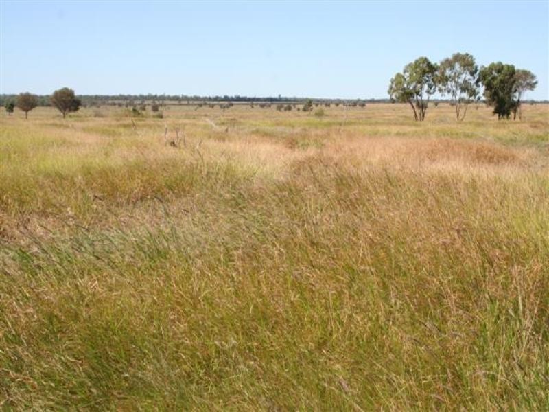 0 Budgeri Road, Mitchell QLD 4465