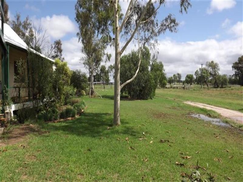 77 Northern Road, Roma QLD 4455