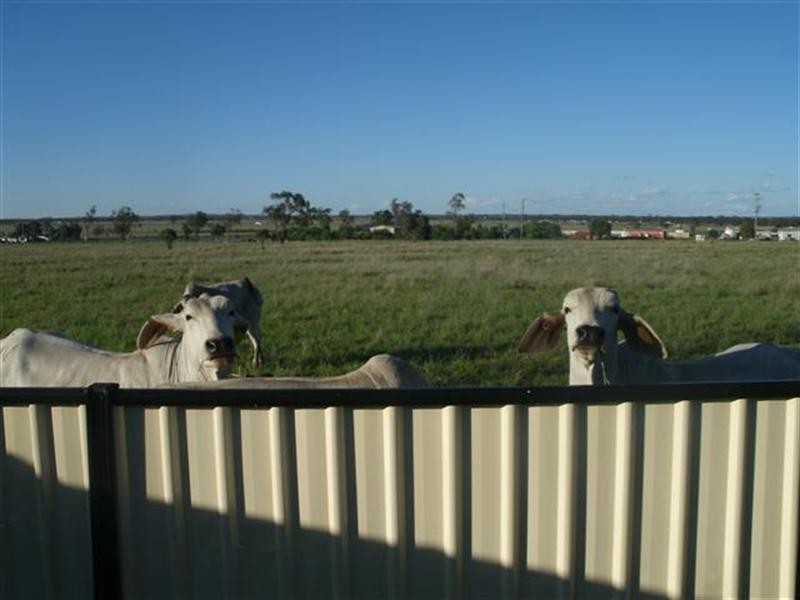 19 Robusta Drive, Roma QLD 4455