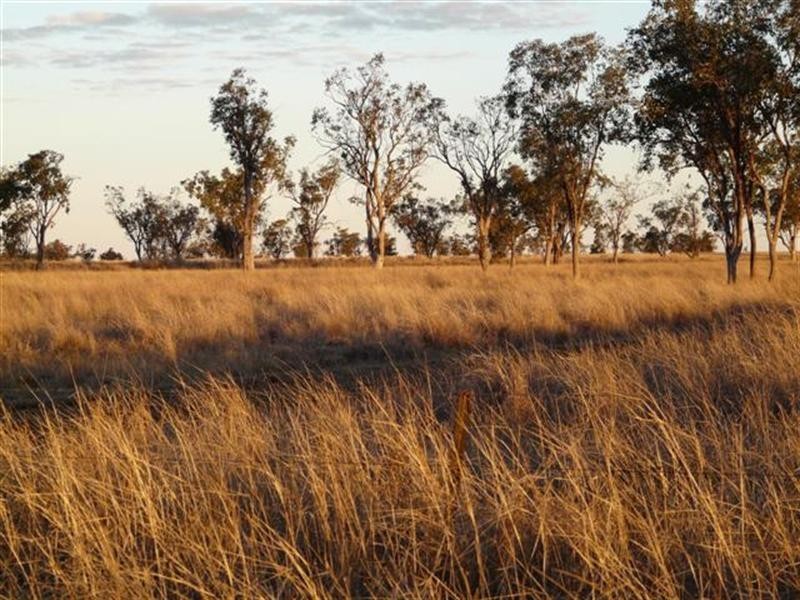 527 Bungeworgorai – Bindango Lane, Roma QLD 4455