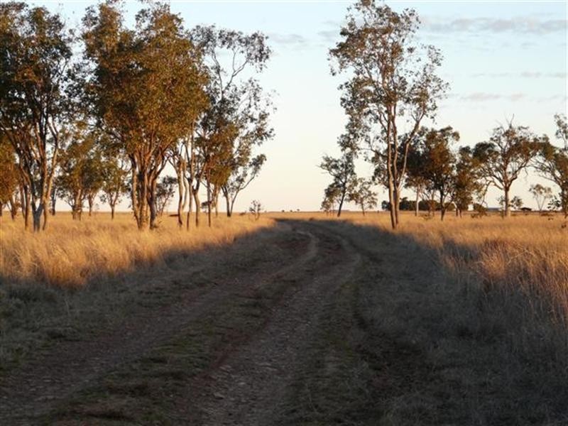 527 Bungeworgorai – Bindango Lane, Roma QLD 4455