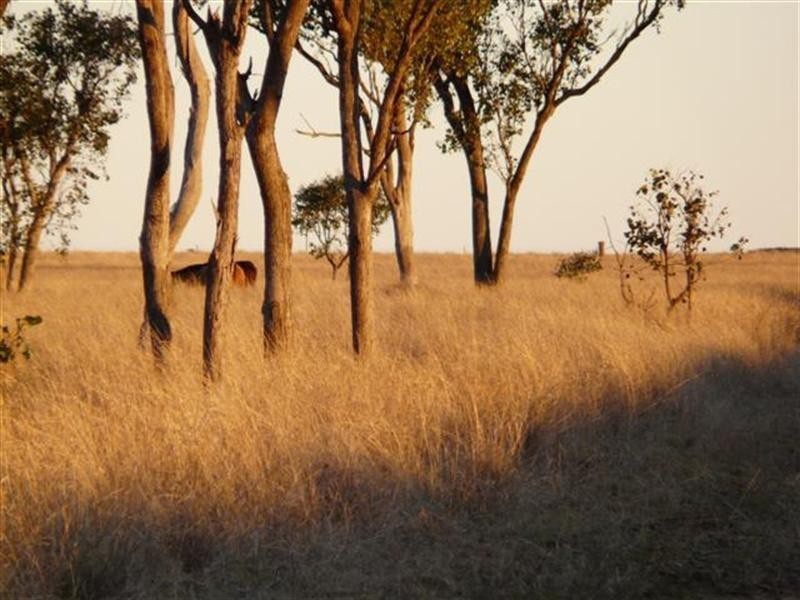 527 Bungeworgorai – Bindango Lane, Roma QLD 4455