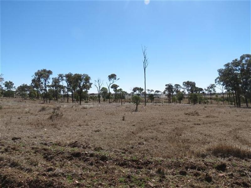 0 Freemans Road, Roma QLD 4455