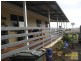 15 Robusta Drive, Roma QLD 4455