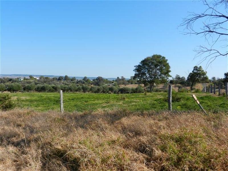 19 Gardiner Street, Taroom QLD 4420