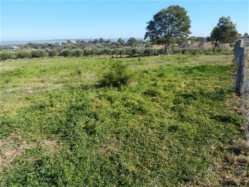 19 Gardiner Street, Taroom QLD 4420