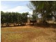 221 Wallumbilla North Road, Wallumbilla North QLD 4428