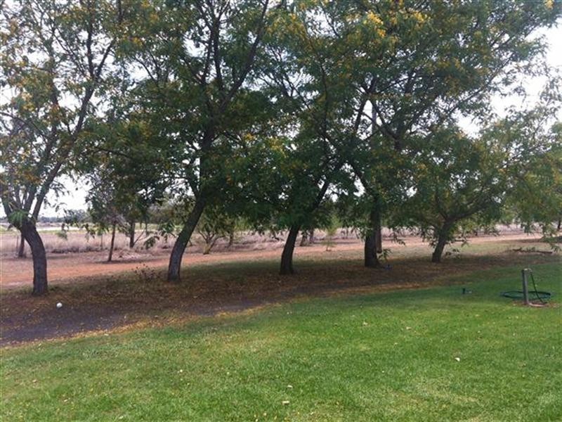 221 Wallumbilla North Road, Wallumbilla North QLD 4428