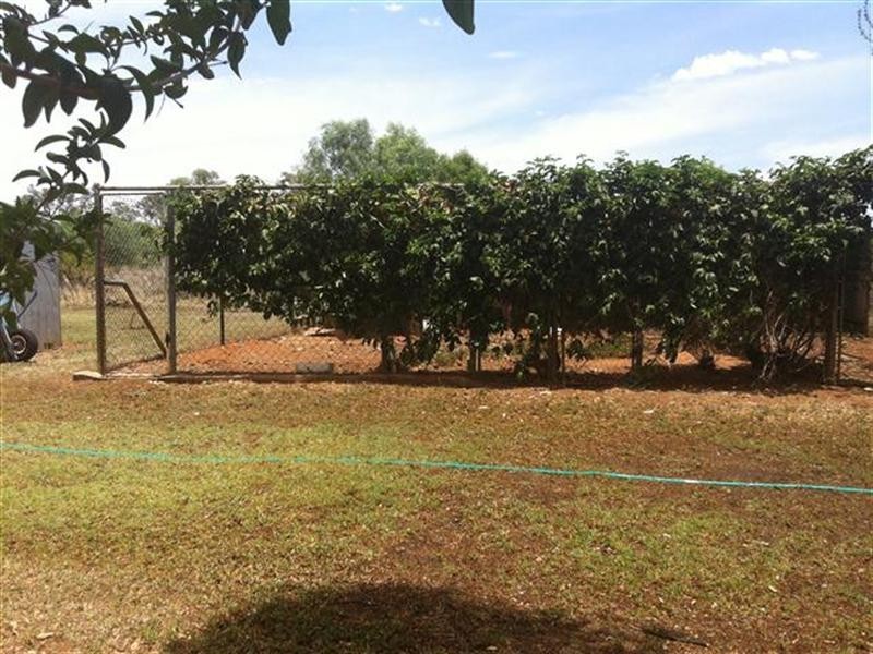 221 Wallumbilla North Road, Wallumbilla North QLD 4428