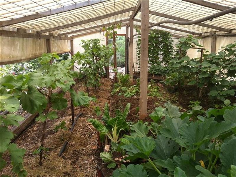 12 Mayne Street, Roma QLD 4455