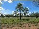 46 Laman Lane, Blythdale QLD 4455