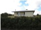 296 Roma Downs Road, Roma QLD 4455
