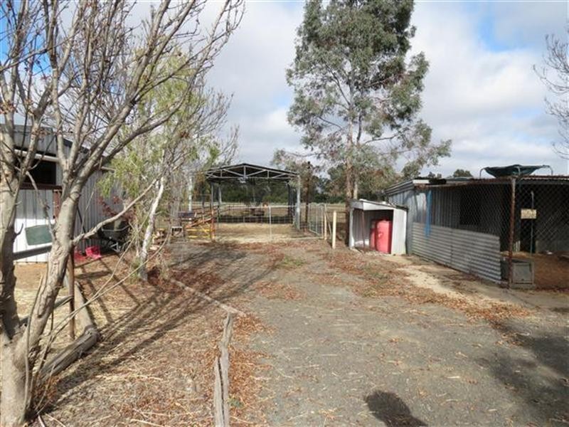 296 Roma Downs Road, Roma QLD 4455