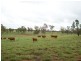 Roma QLD 4455