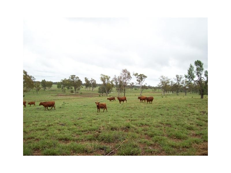 Roma QLD 4455