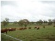 Roma QLD 4455
