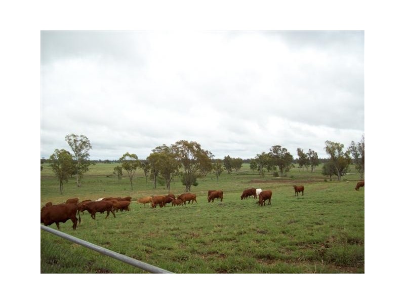 Roma QLD 4455