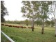 Roma QLD 4455