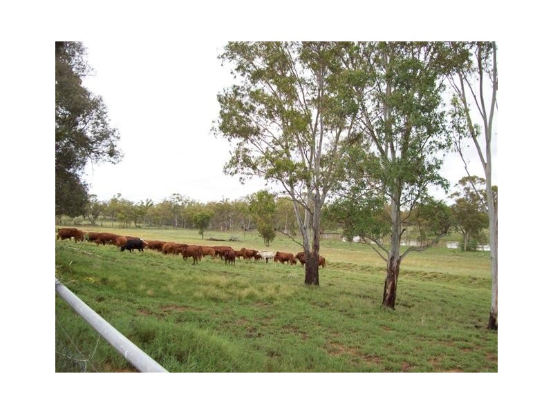 Roma QLD 4455