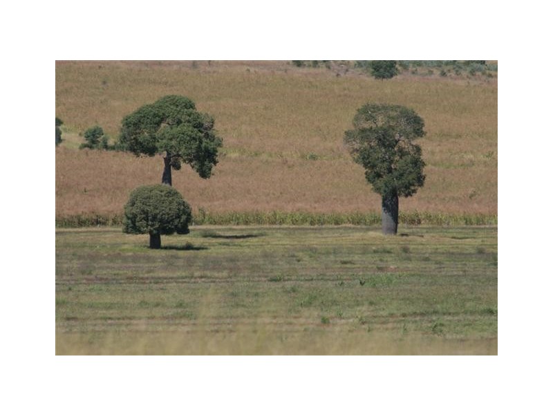 Chinchilla QLD 4413