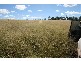 Chinchilla QLD 4413