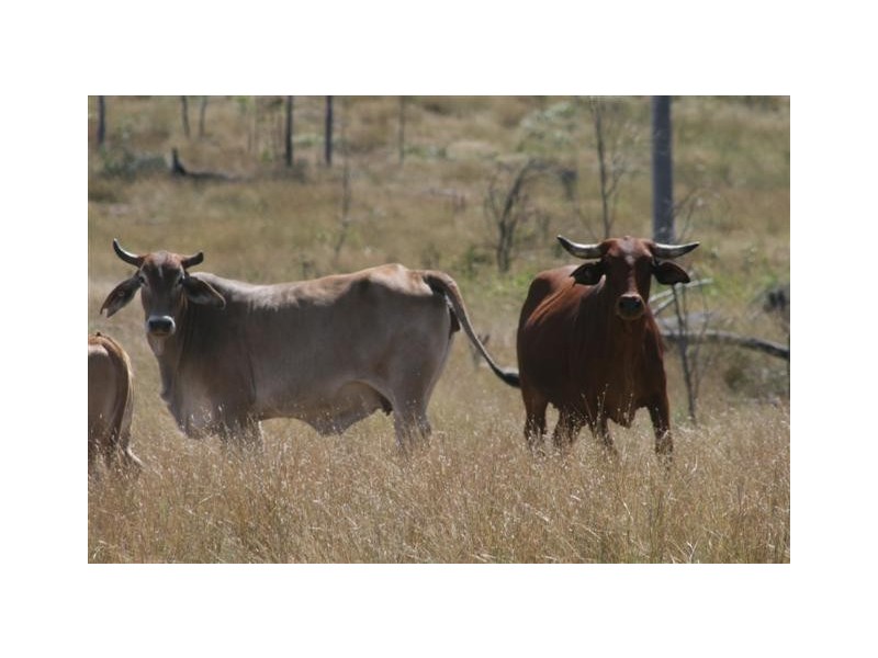Chinchilla QLD 4413