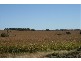 Chinchilla QLD 4413