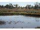 Chinchilla QLD 4413