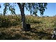Chinchilla QLD 4413