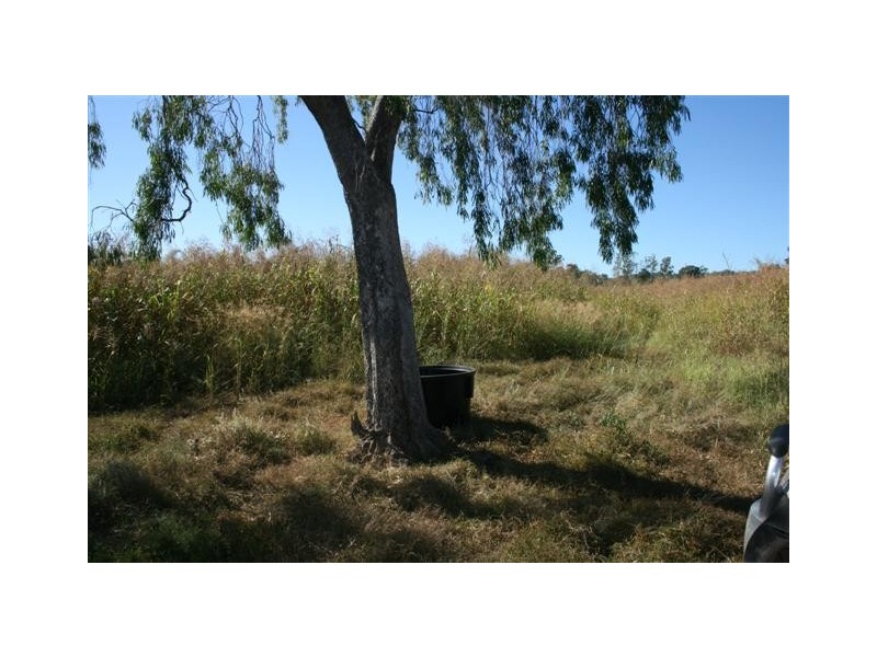 Chinchilla QLD 4413