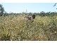 Chinchilla QLD 4413