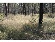 Chinchilla QLD 4413