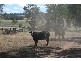 Chinchilla QLD 4413