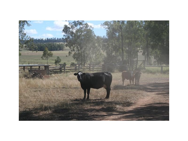 Chinchilla QLD 4413