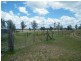 198 Cameby Road, Chinchilla QLD 4413