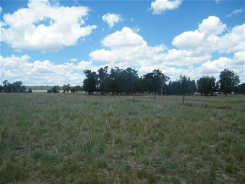 198 Cameby Road, Chinchilla QLD 4413
