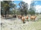 198 Cameby Road, Chinchilla QLD 4413