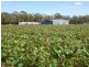 “Bar-K” – “Pinneena”, Pelican Road, Chinchilla QLD 4413