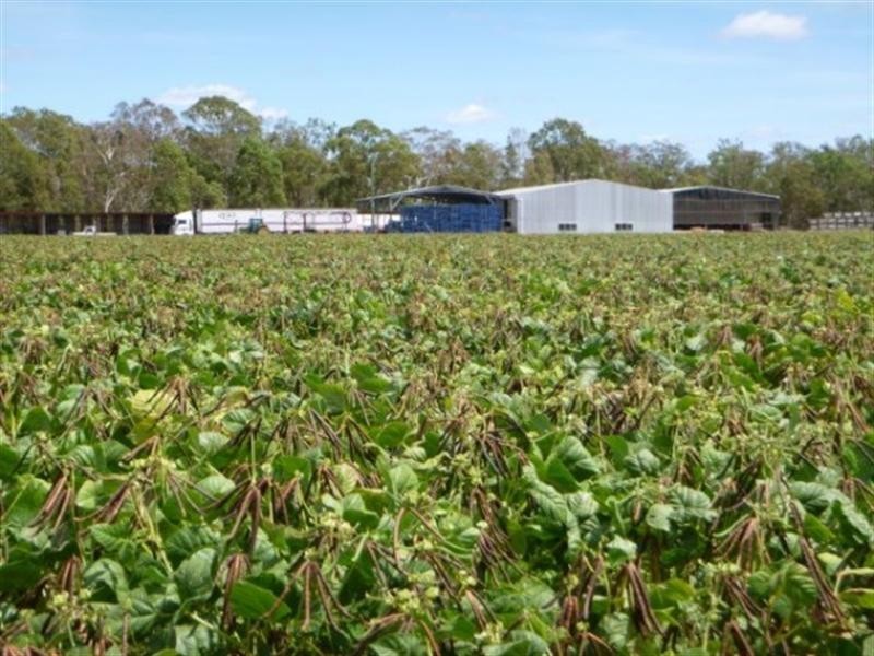 “Bar-K” – “Pinneena”, Pelican Road, Chinchilla QLD 4413
