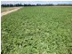 “Bar-K” – “Pinneena”, Pelican Road, Chinchilla QLD 4413