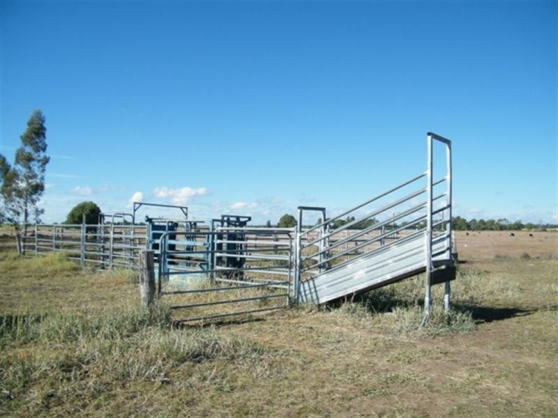 90 Dawson Gates Road, Chinchilla QLD 4413