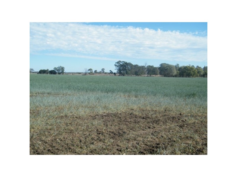 Lot 21 B Riders Road, Chinchilla QLD 4413