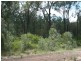 Tara QLD 4421
