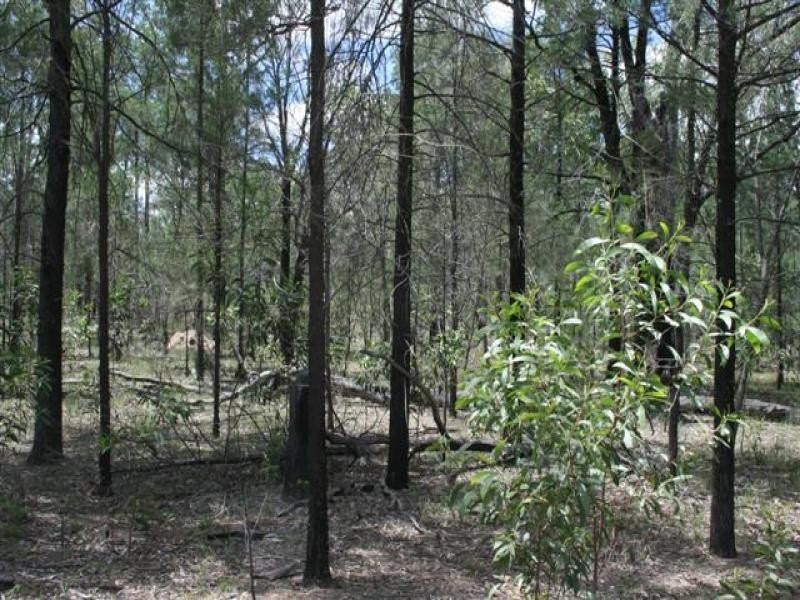 Tara QLD 4421