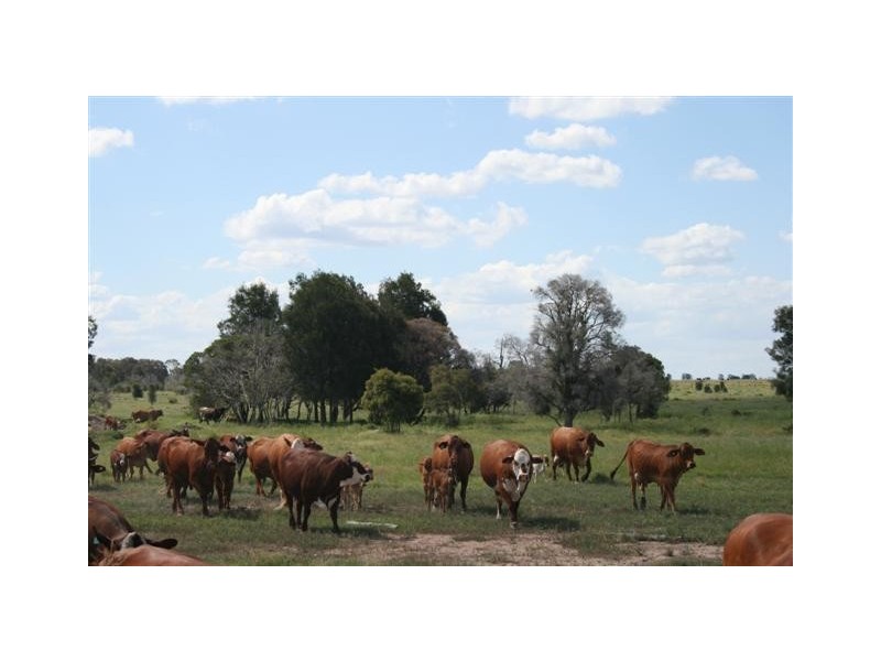 93 C Kerrs Road, Chinchilla QLD 4413