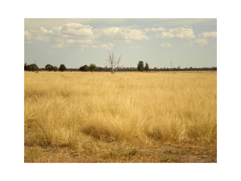 93 C Kerrs Road, Chinchilla QLD 4413