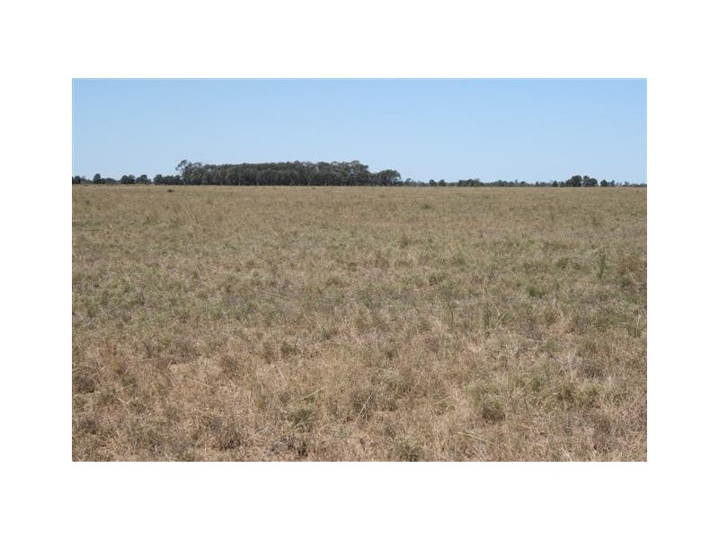 Chinchilla QLD 4413